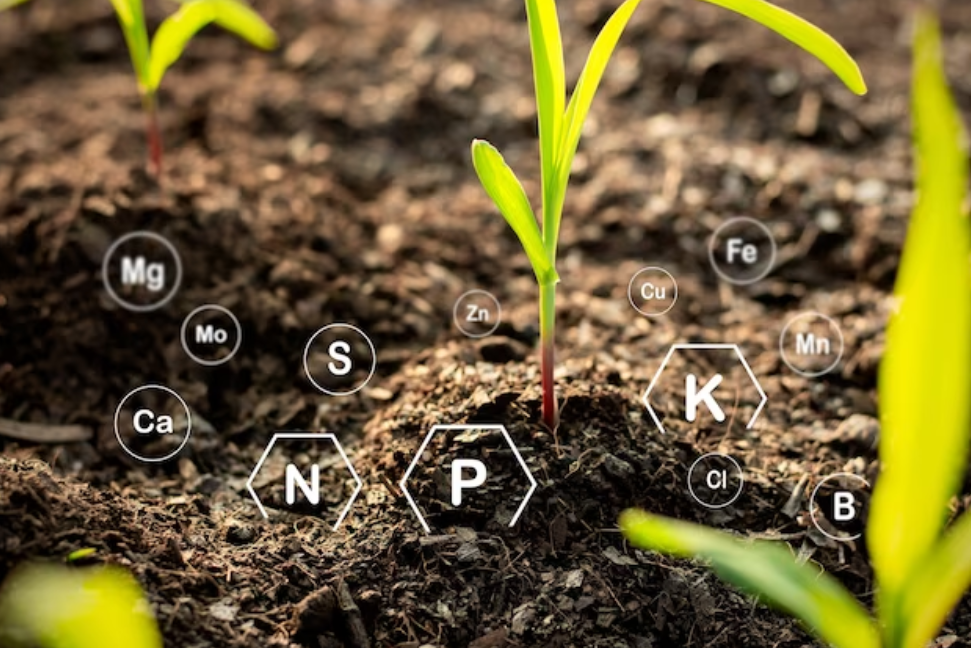 Revolutionizing modern agriculture with Nano-fertilizers
