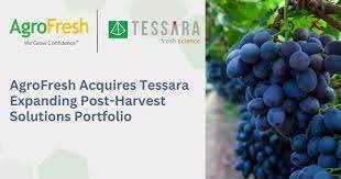 AgroFresh to acquire Tessara to broaden post-harvest AgTech solutions portfolio