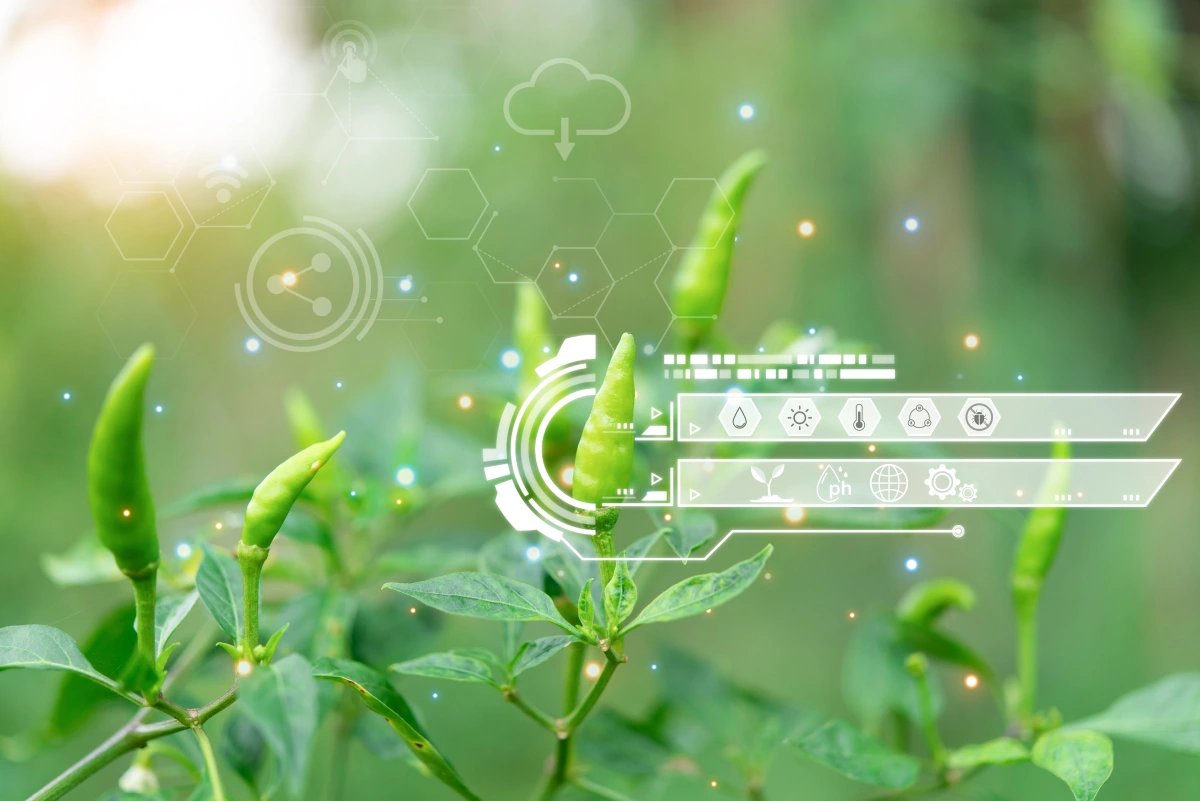 ICL and Agrematch to develop novel Crop Nutrition solutions via AI