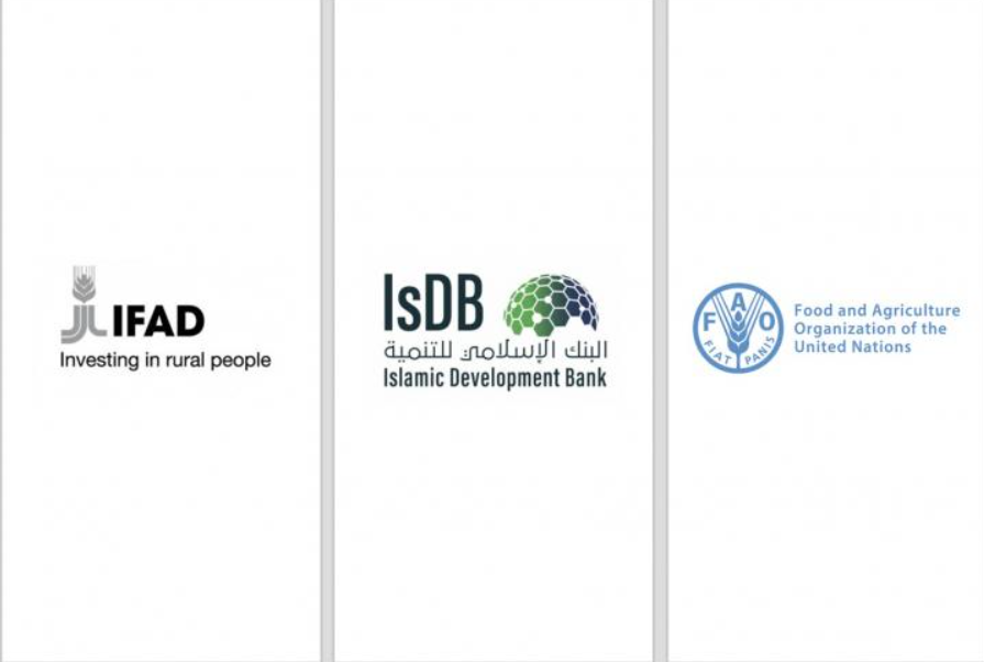 FAO, IsDB, and IFAD collaborate to strengthen food security technologies for smallholder farmers