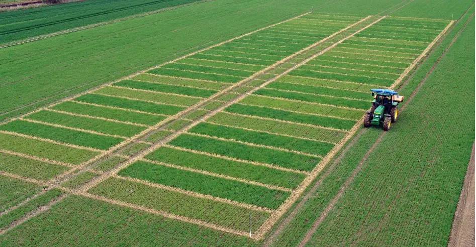 Yara discovers impact of mineral fertilizer for effective nutrient management in farming