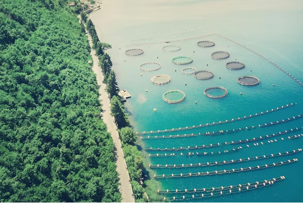 Australia invests $450,000 to foster Seafood Industry