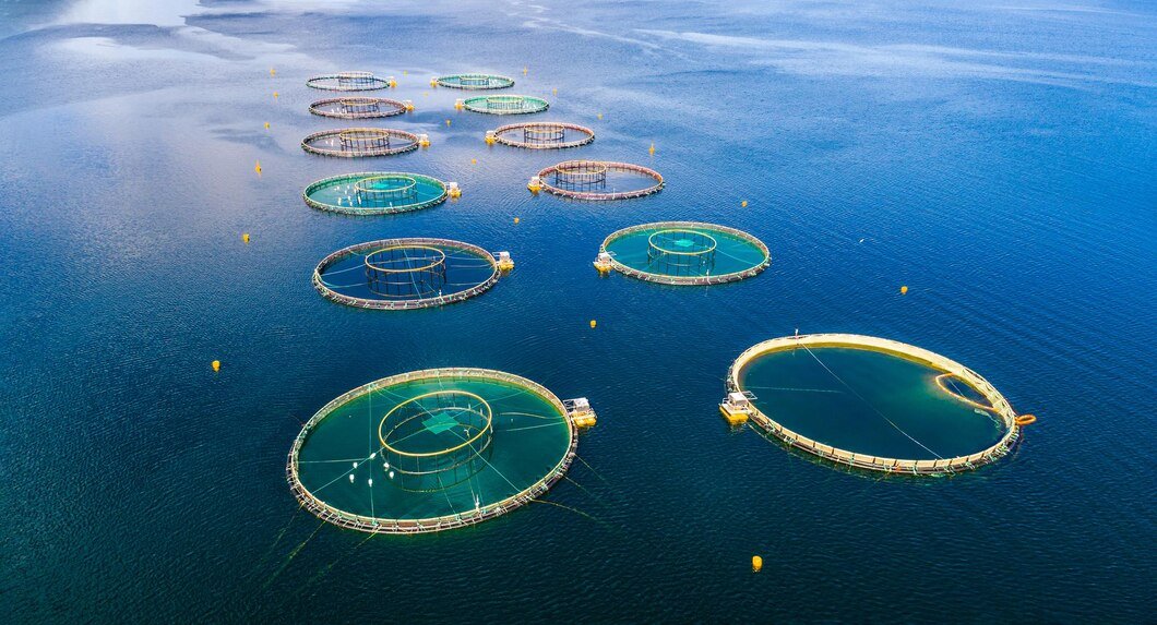 Singapore becomes aquaculture technology hub for Israeli firm Tiran Group