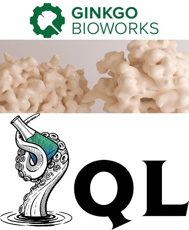QL AG partners with Ginkgo Bioworks to develop dairy proteins