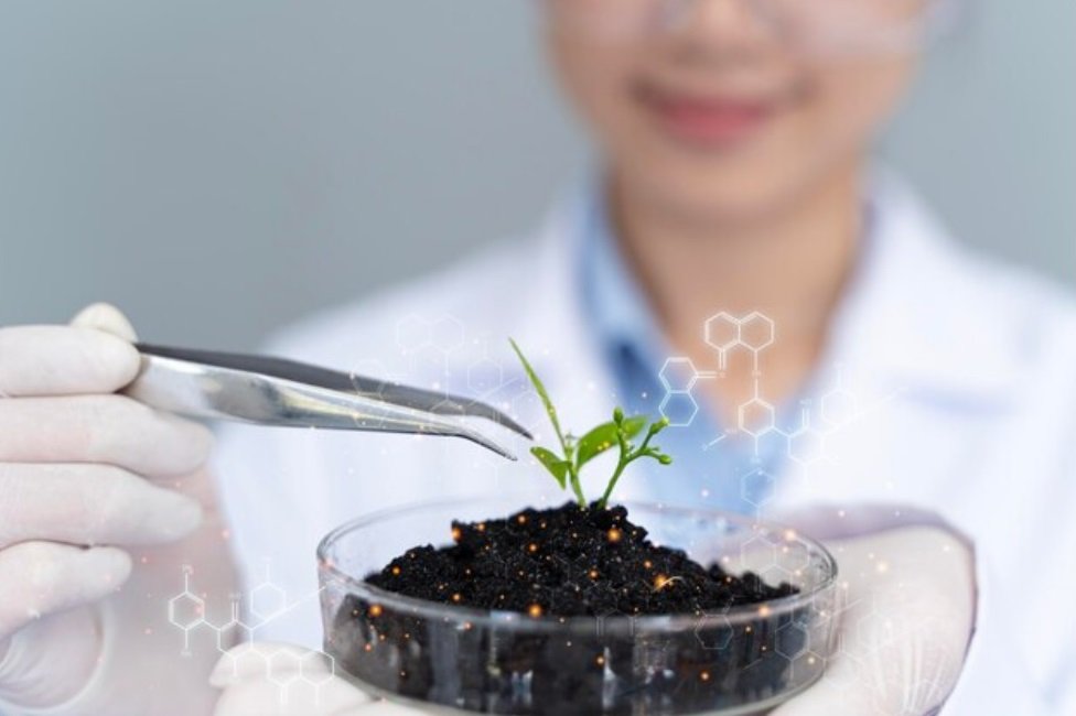 Global specialty chemicals leader Nouryon obtain ISCC PLUS certification for green monochloroacetic acid (MCA)