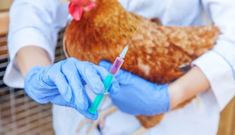 Kemin Biologics launch MEFLUVAC™ H5 PLUS 8 Vaccine to tackle Avian Influenza