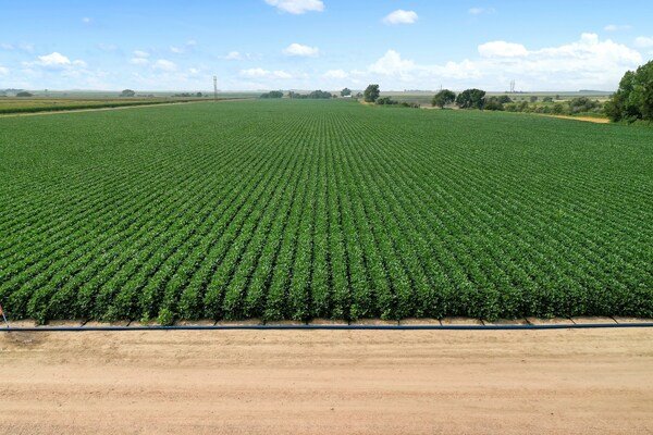 PepsiCo announces Agriculture Accelerator Projects to accelerate Regenerative Agriculture globally
