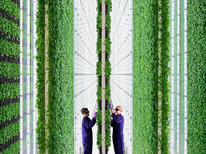 Plenty to advance development of World's Largest Vertical Farming Research Center