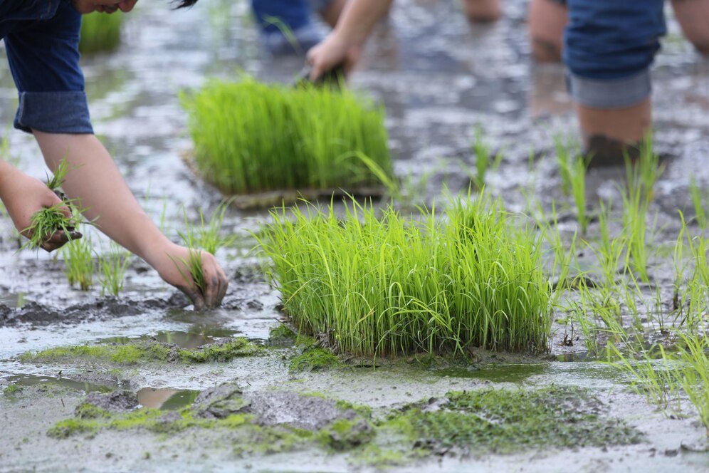 Ag Guard and Floodbase partner to develop parametric Flood Insurance Programs for AU & NZ