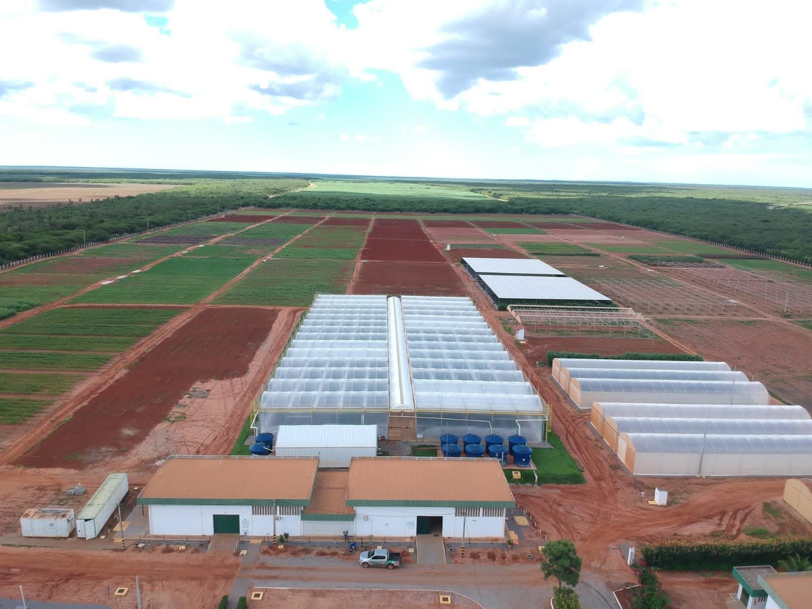 Syngenta opens its technology R&D hub in Latin America to develop new corn hybrids