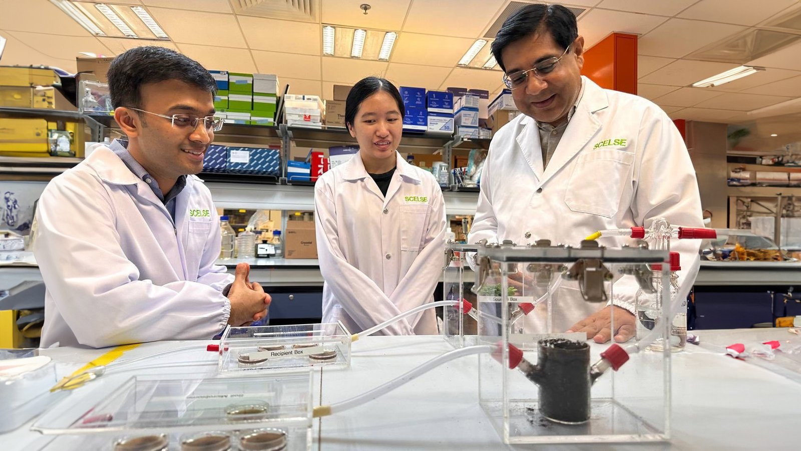 Singapore's NUS-SCELSE scientists uncover plant hormone that can boost plant growth by 30%