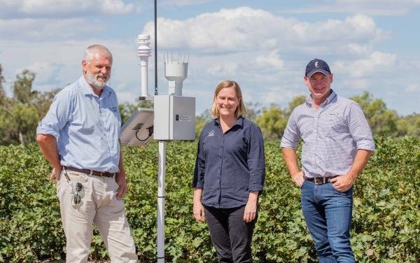 Australia's GRDC develops real-time data analytic WAND system to aid cotton growers with crop spraying 