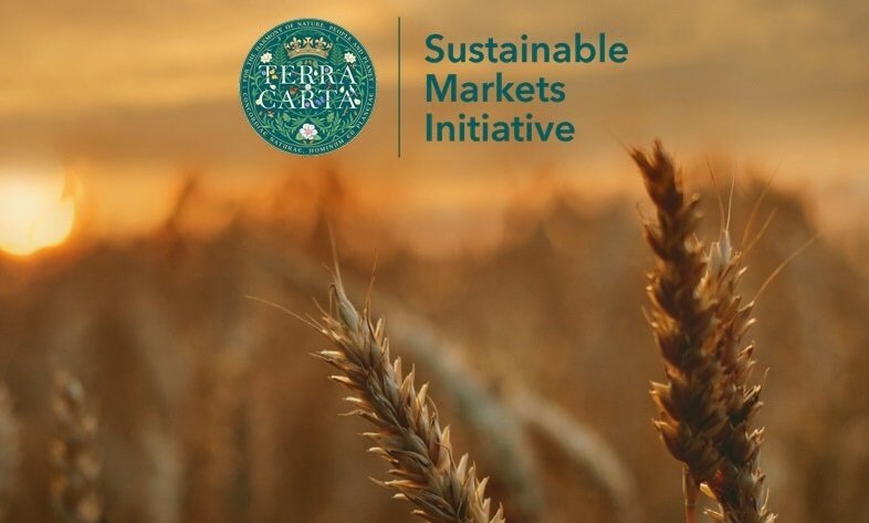 Sustainable markets initiative Agribusiness Task Force launches Blended Finance Framework