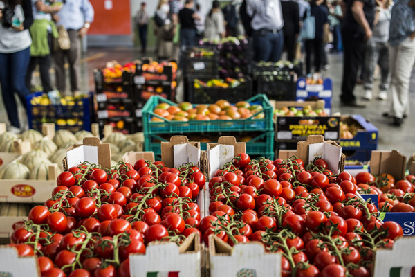 New research urges data-driven action for agriculture and food systems change