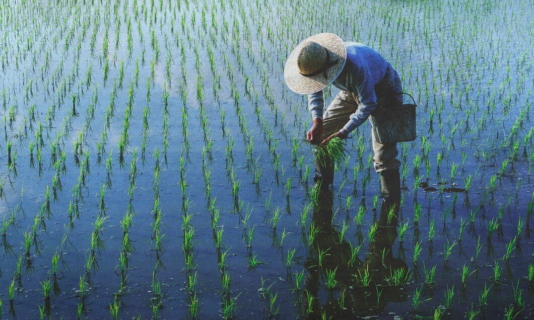 China strengthens crops & husbandry supply chain for emergency climate response