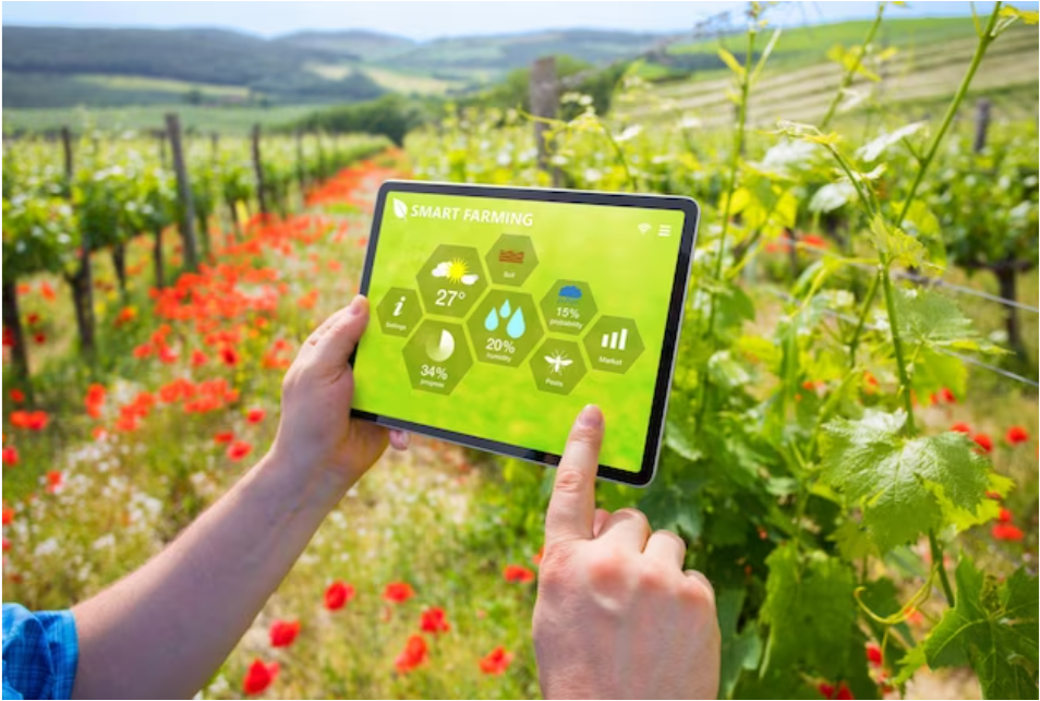 Cargill empower farmers with customizable Grain Marketing Solutions to optimize farm practices