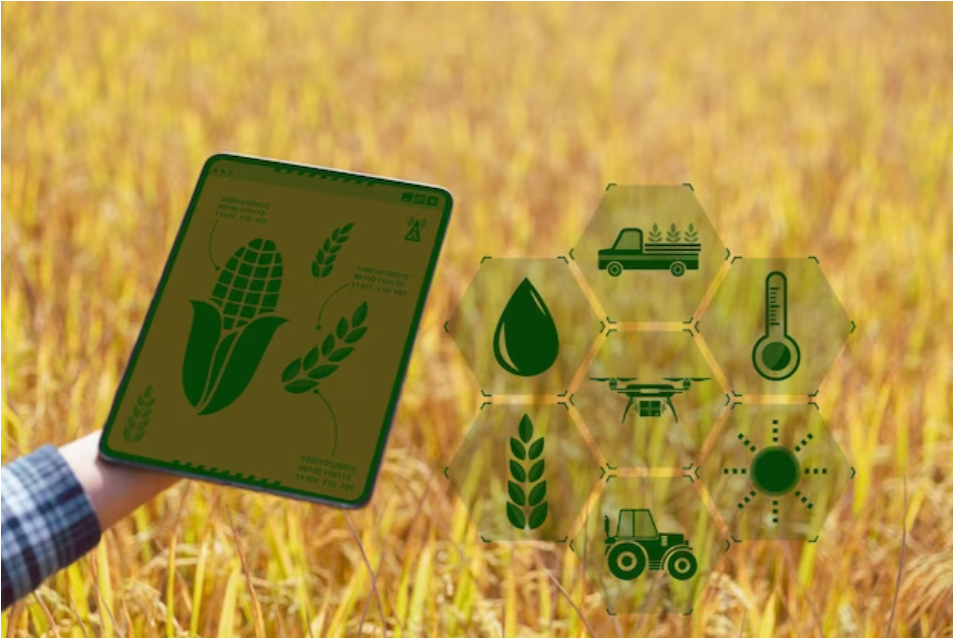 Australia's GRDC extends platform for Agri-tech innovators with improved grain farming practices