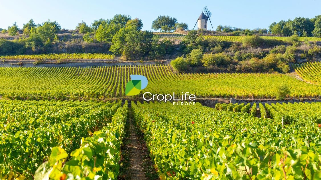CropLife Europe commits €10B into innovation in precision and digital technologies by 2030