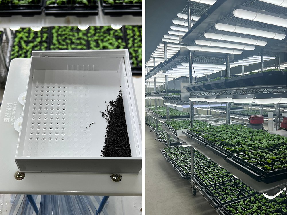 Griiner Pastures collaborates with AutoPot in South Korea to boost indoor farm cultivation