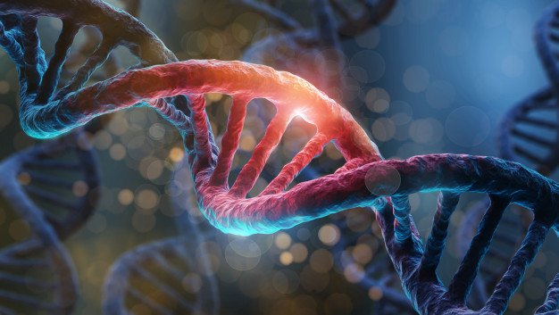 Twist Bioscience Unveils innovative solution  to drive NGS adoption in AgBio