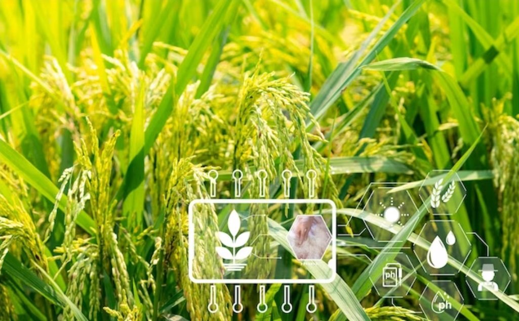 ADAMA launches 5 innovative formulation Cereal fungicides in Europe