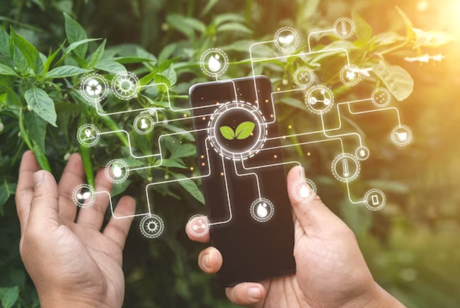 Singapore's Farmdar leverages AI in agriculture to provide actionable data, reduce cost, boost yield, improve quality, and minimize waste