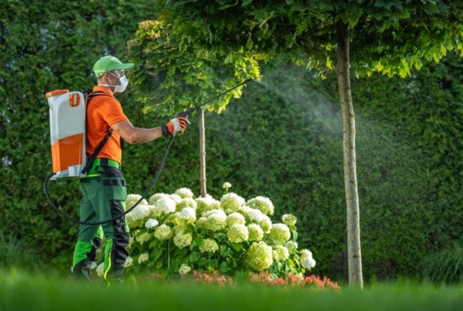 UPL to strengthen Fungicide portfolio with planned acquisition of Corteva's Mancozeb business