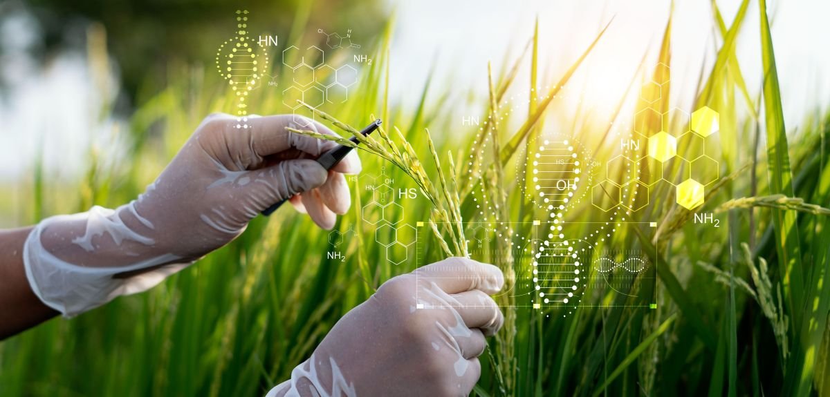 Syngenta and Lavie Bio announce partnership to discover and develop novel bio-insecticide