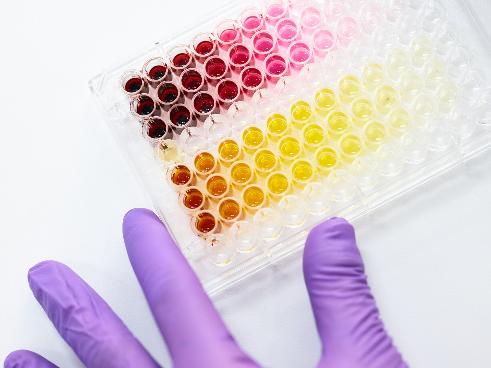 Phytolon and Ginkgo Bioworks to produce Natural Food Color spectrum via yeast strains