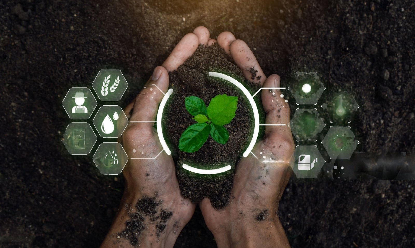 Certis Biologicals, Certis Belchim Introduce New Seed Treatment Biofungicide for Cereal Growers