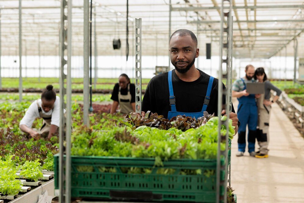 China is sowing potent agriculture export strategies in Africa