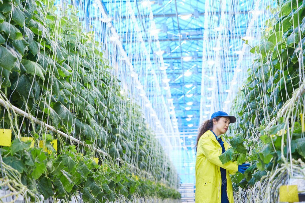 Australia grants $15.9 million Horticultural Netting Program fund in Victoria