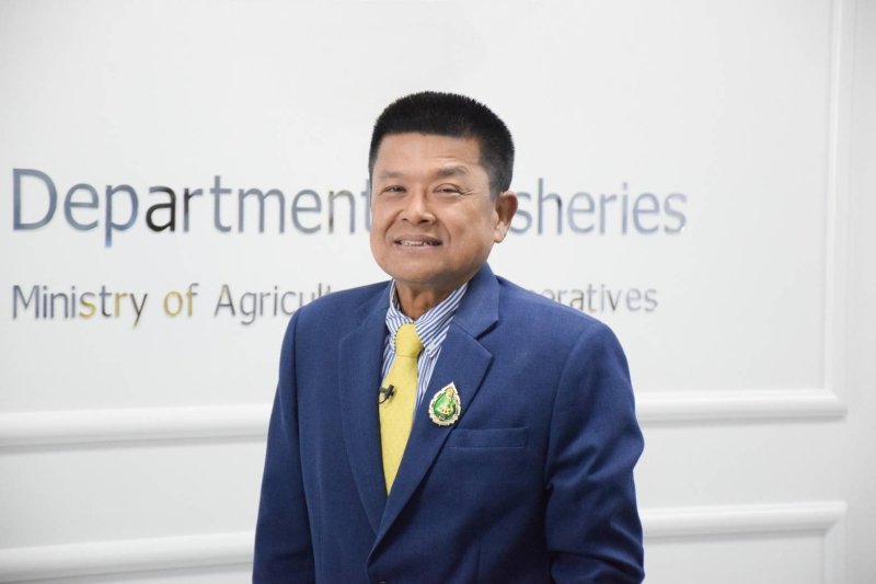 Thailand Fisheries Department calls for 2024-25 commercial fishing licenses application