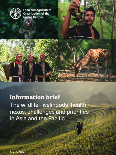 FAO releases Asia-Pacific wildlife, health, and livelihoods nexus