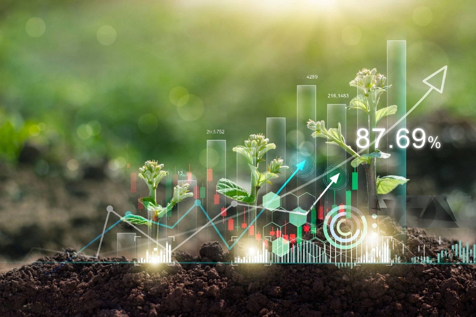 Korea advances Government-sponsored Fund Management System to upscale Agriculture  Startups