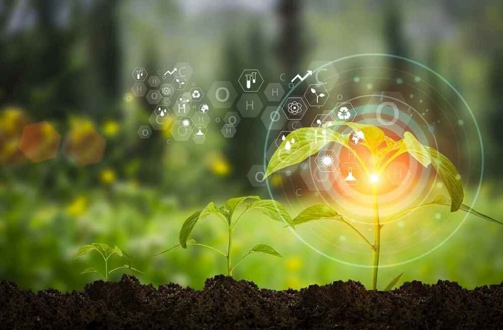 FAO and CBD launch partnership to accelerate monitoring of ecosystem restoration in Asia–Pacific and beyond