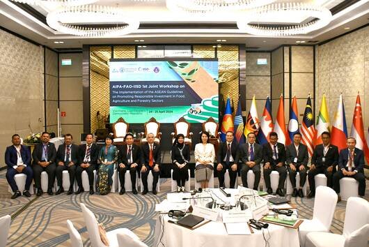 Southeast Asia prepares to implement ASEAN Guidelines for sustainable investment in Food, Agriculture, and Forestry
