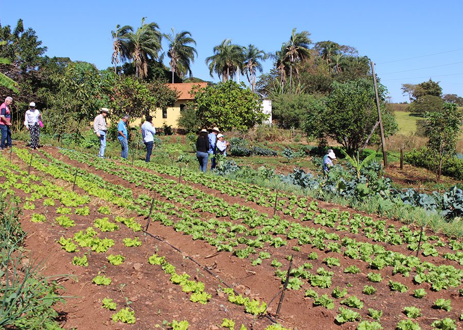 Scientists develops environmental indicators for agroecological production in Goiás