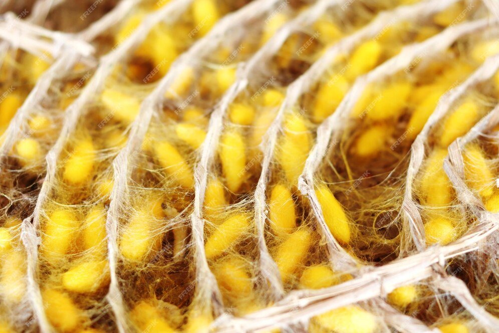 Kraig Biocraft Laboratories signs landmark sericulture agreements in South East Asia