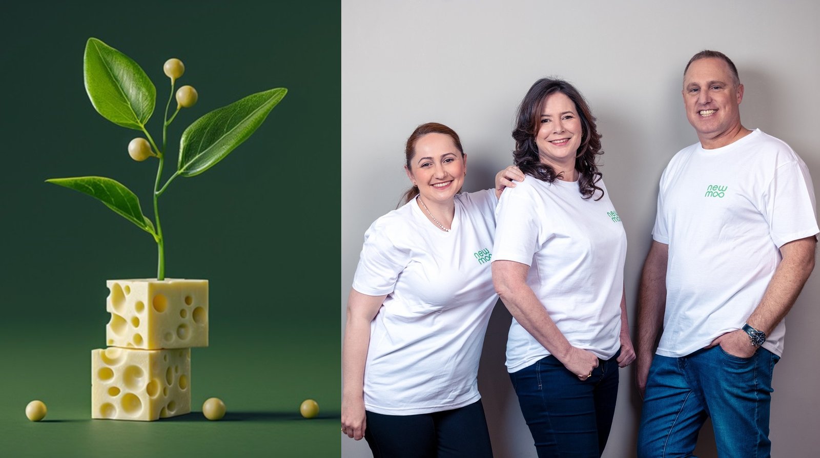 NewMoo creates Casein in plants for crafting Moo-Free Cheese