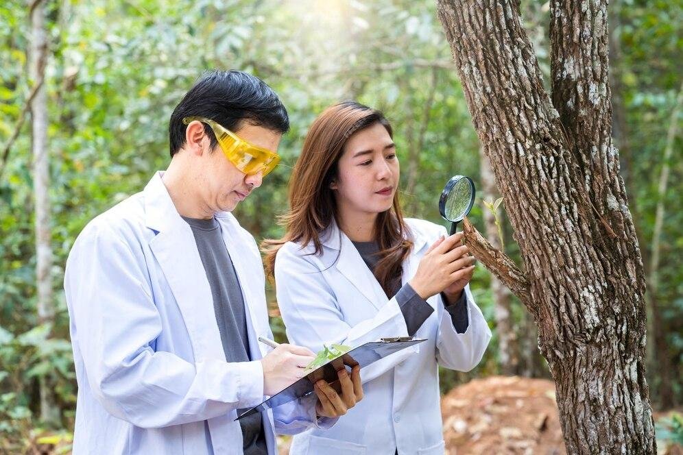 Australia announces $5 Million national open call for forest research