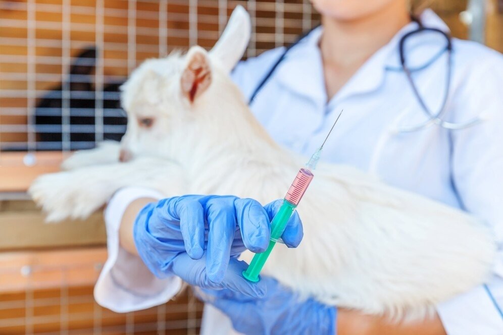 The UK's Brains Bioceutical names John Boshart as new VP to its Animal Health Division