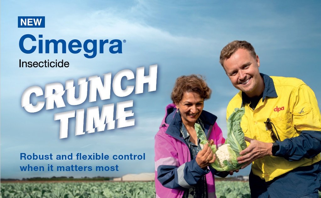 BASF launches new insecticide Cimegra® in Australia