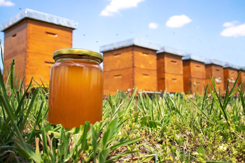 Australia honey and edible apiculture products gains access to Vietnam market