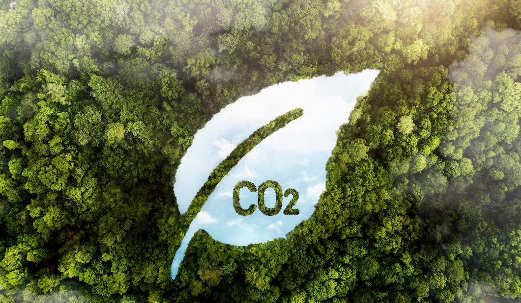 Microsoft to purchase Indigo Ag's agricultural soil-based carbon credits