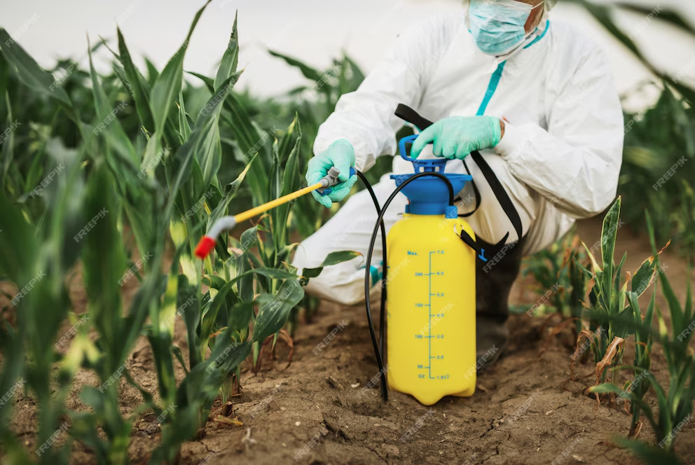 Syngenta Biologicals and Lithos Crop Protect collaborate to fight major corn pest in Europe