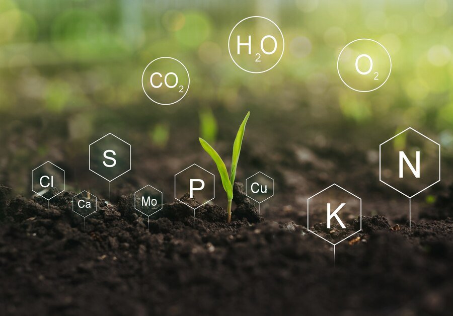 Yara and Petrobras collaborate to increase fertilizer efficiencies and industrial reach in Brazilian market