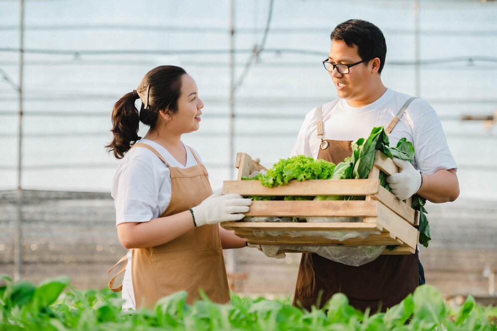 Korea supports K-Organic Food to expand global reach by strengthening export competitiveness