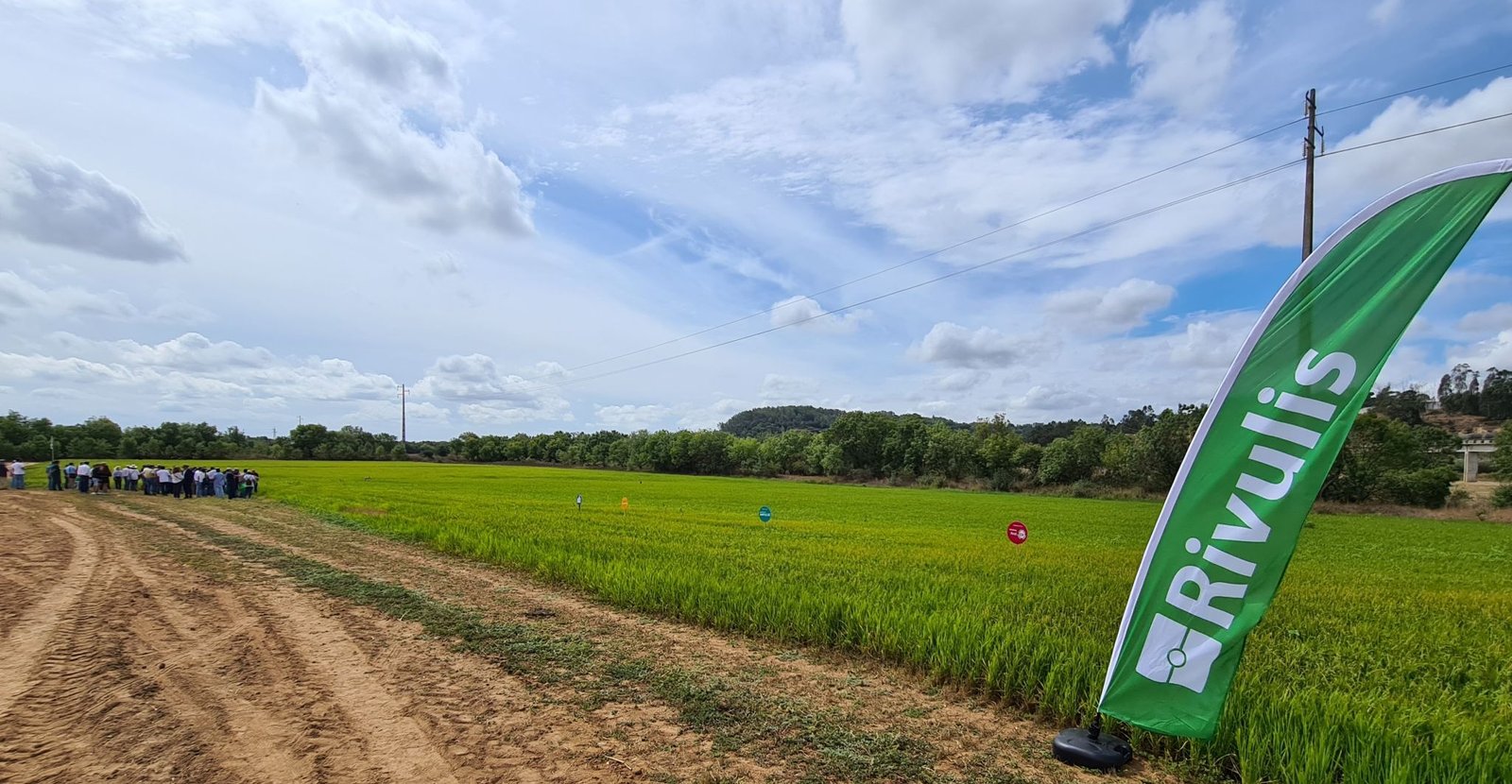 Global firm Rivulis redefines farming with advanced AI technology