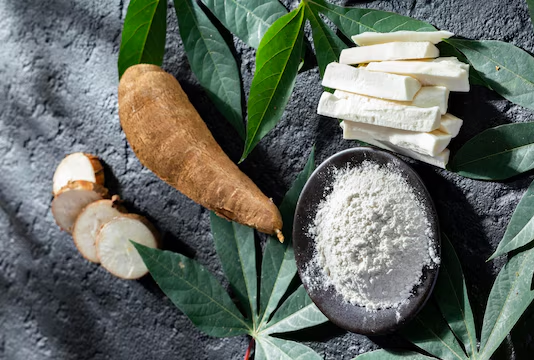 Roquette launches Botanical Tapioca Starch range to address unmet texture needs of food manufacturers
